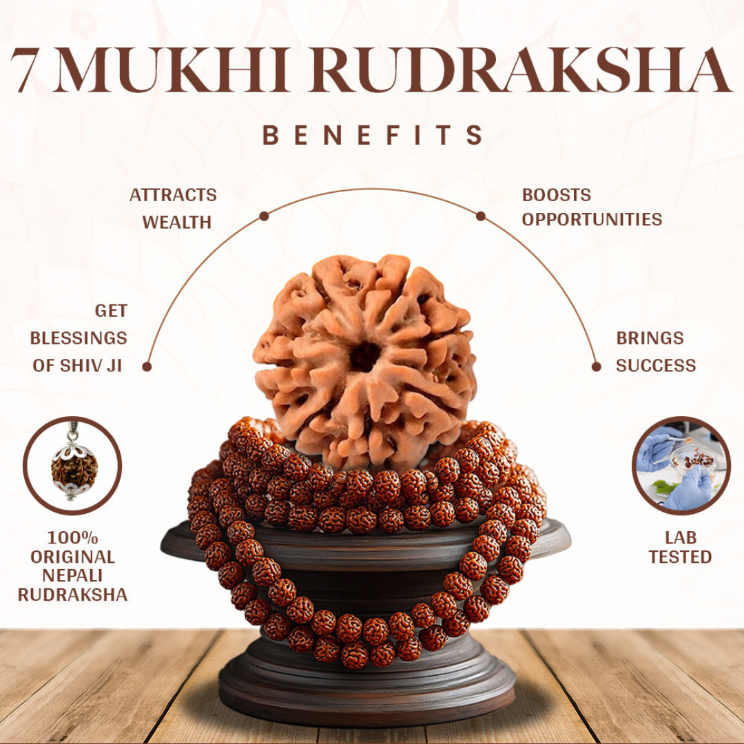 7 Mukhi Rudraksha Bracelet