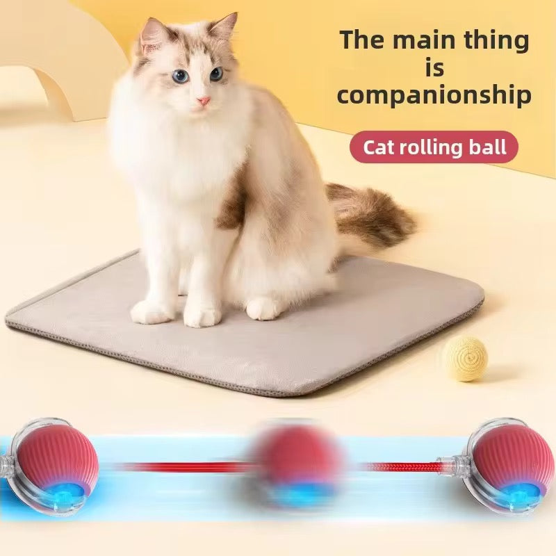 Interactive Rolling Ball Toy for Cats & Dogs