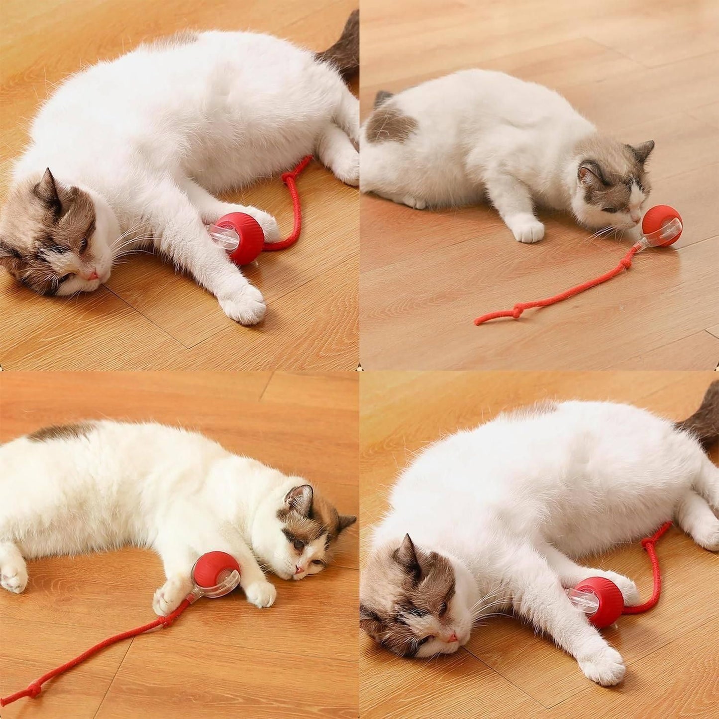 Interactive Rolling Ball Toy for Cats & Dogs