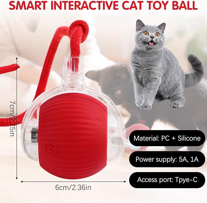 Interactive Rolling Ball Toy for Cats & Dogs