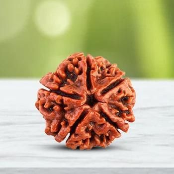 108 Beads Rudraksha Jaap Mala – Sacred Rosary for Meditation & Prayer