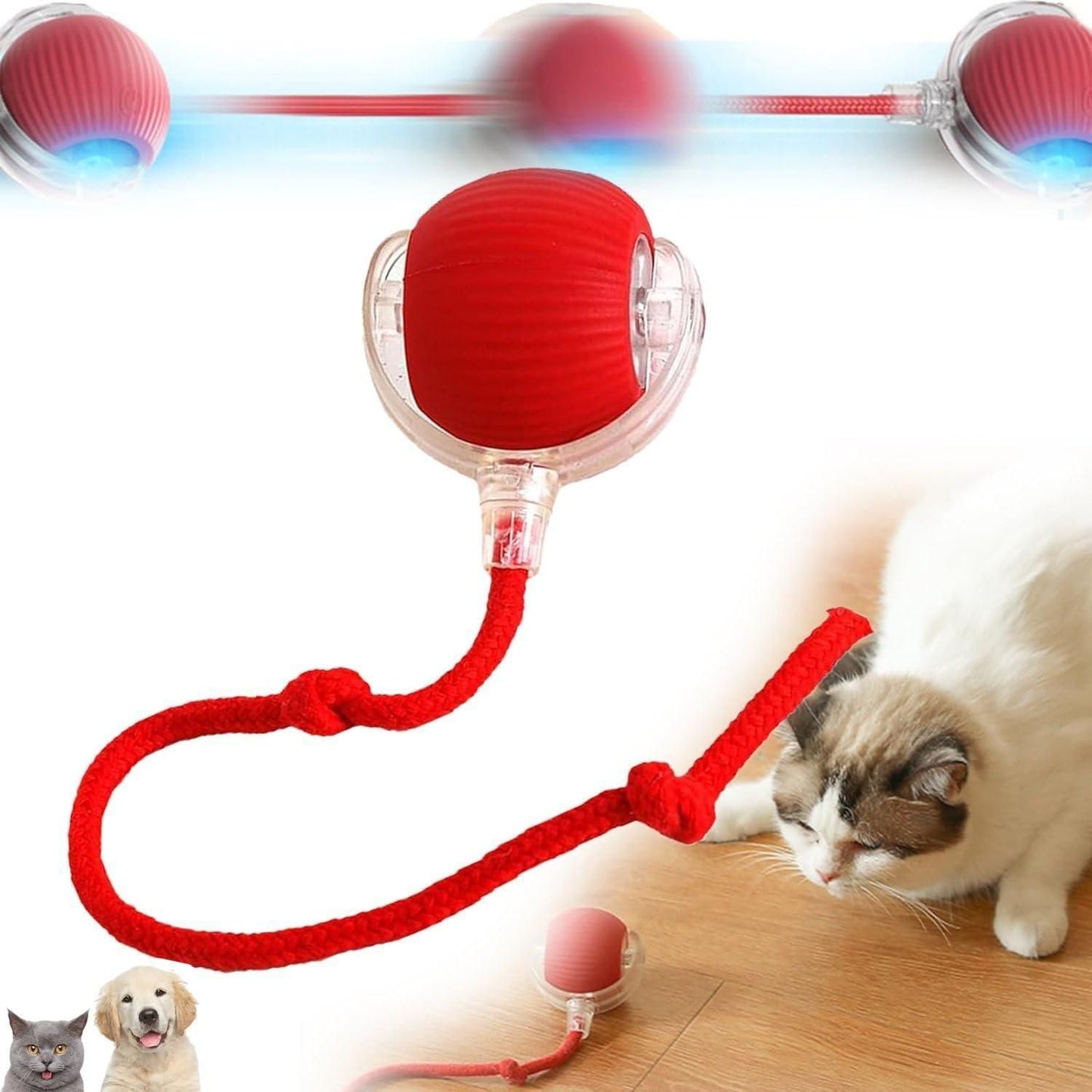 Interactive Rolling Ball Toy for Cats & Dogs