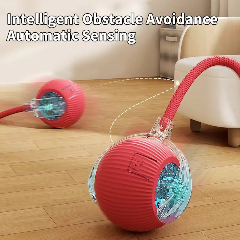 Interactive Rolling Ball Toy for Cats & Dogs