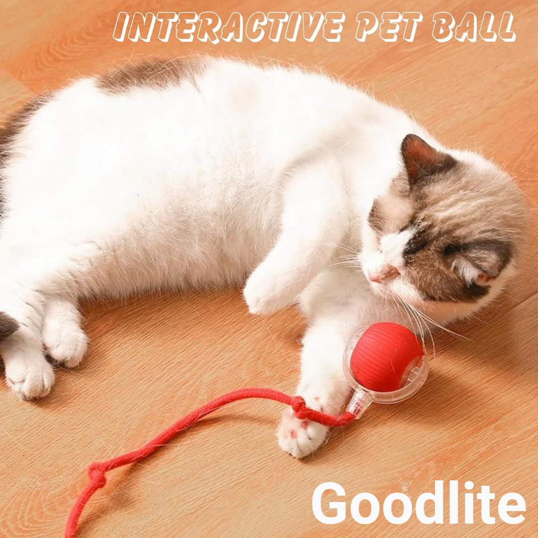 Interactive Rolling Ball Toy for Cats & Dogs