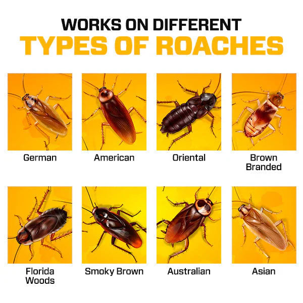 Cockroach Killer Gel – Professional-Grade Formula for a Pest-Free Home!