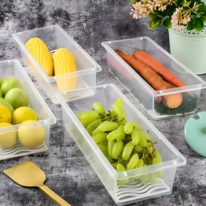 2 Layer Interlocking Fridge Container