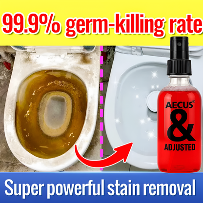 Toilet Cleaner 100ml