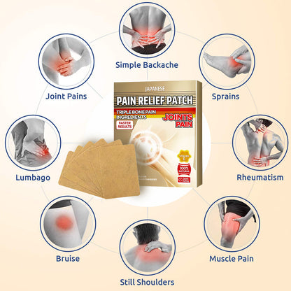Pain Relief Patch for Joint Pain (Pack of 10 Patch)
