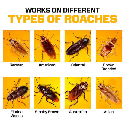 Cockroach Killer Gel – Professional-Grade Formula for a Pest-Free Home!