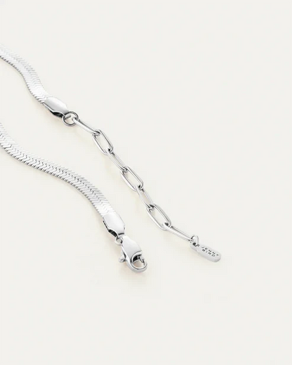Anti Tarnish Lucky Silver Snake Anklets