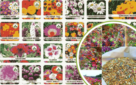 Buy Varieties of Flower Seeds (Pack of 100) And Get Plant Growth Supplement Free