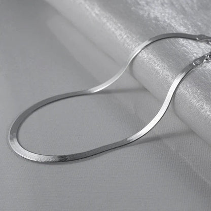 Anti Tarnish Lucky Silver Snake Anklets